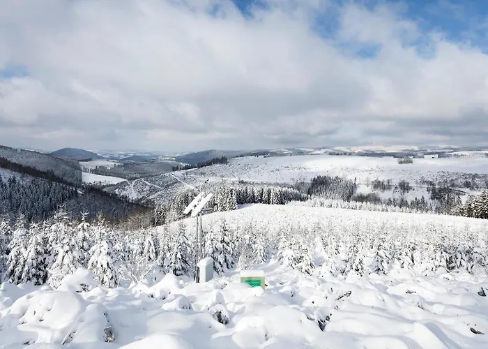 Am Finkenbusch Appartamento Willingen (Upland)